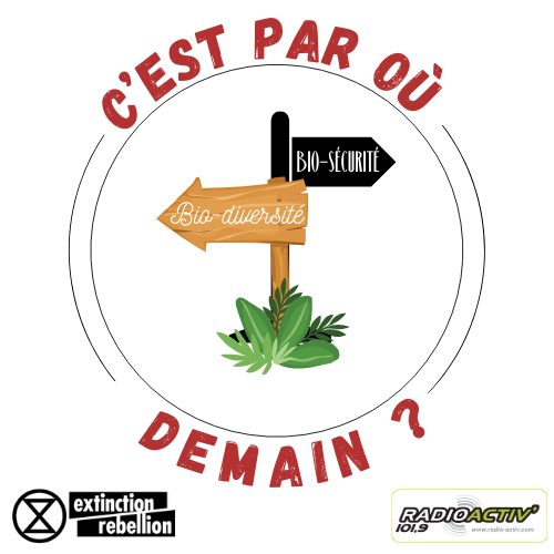 C’EST PAR OU DEMAIN ? – 08/05/2025